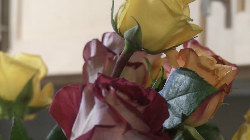 香港5G覆蓋邊區最好2026：三大電訊商速度全面比較