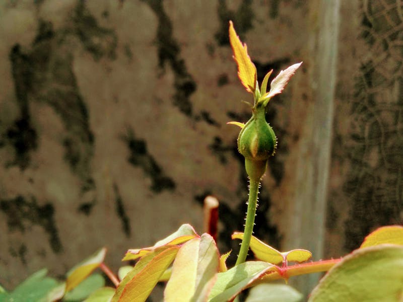 香港5G月費計劃邊間最抵2026：四大電訊商全面比較